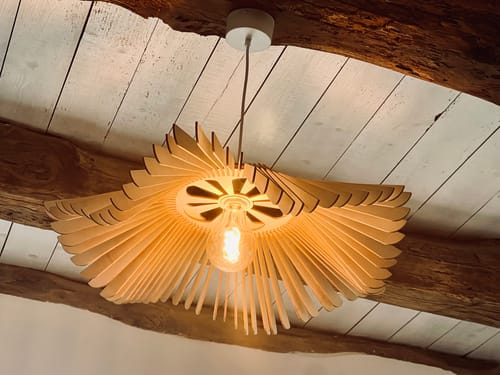 Customer photo review of Rose | Suspension