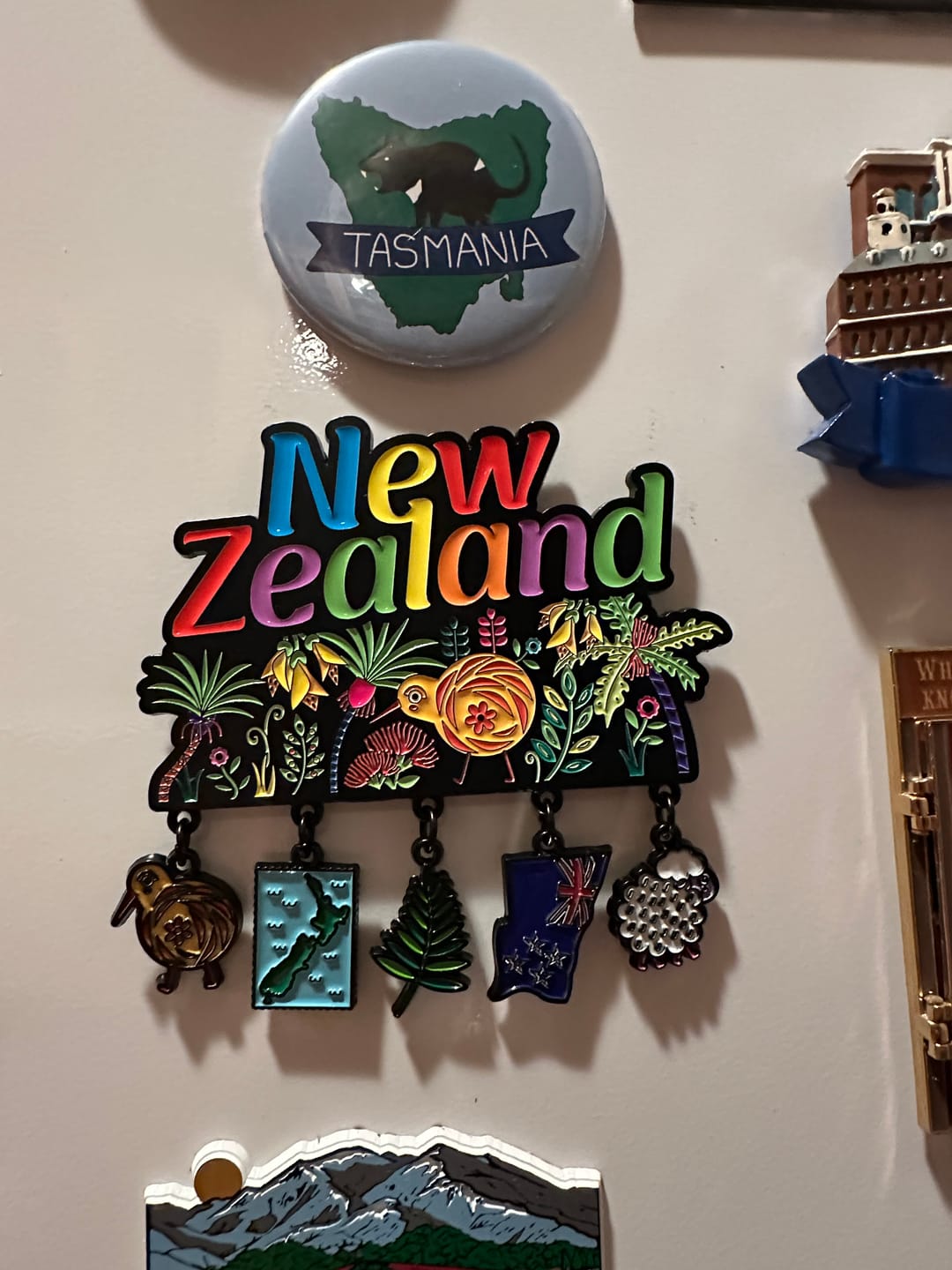 Customer photo review of Gorgeous New Zealand Charms Fridge Magnet