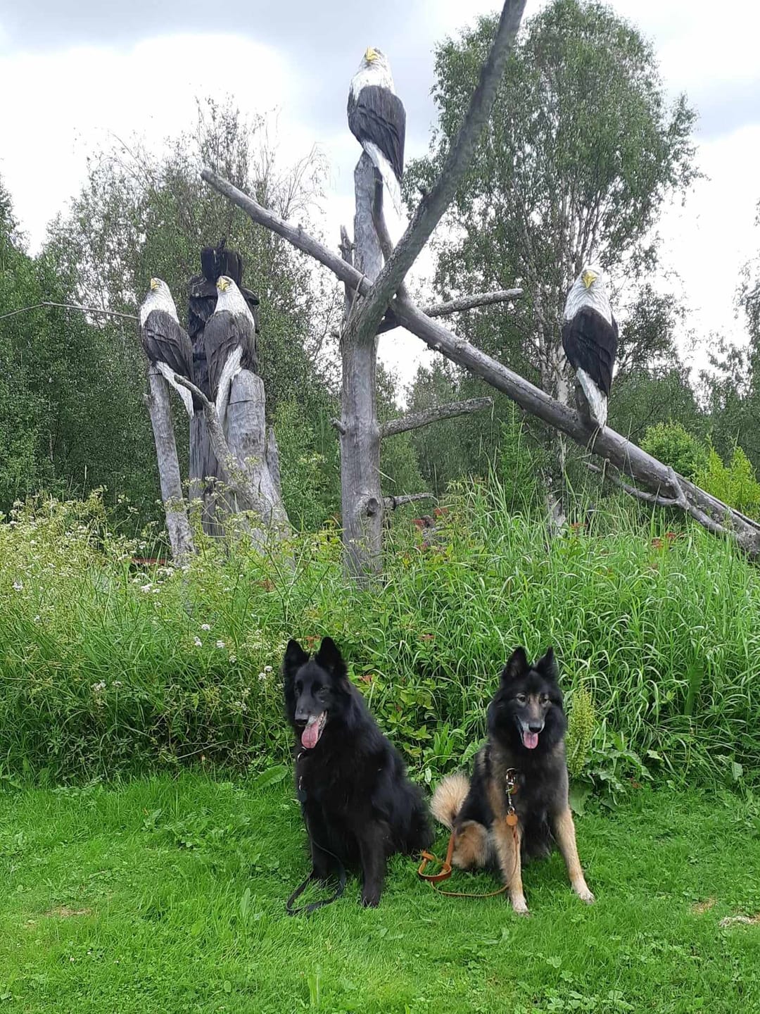 Customer photo review of Eget Foto Diamond Painting