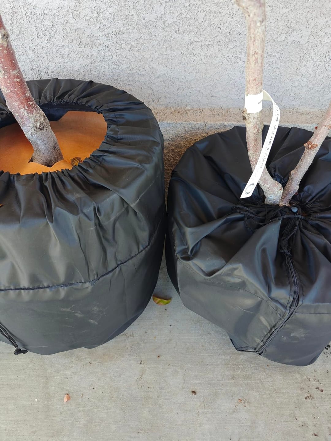Customer photo review of Thermal Plant Pot Cover 20" – Winter Root Freeze Protection