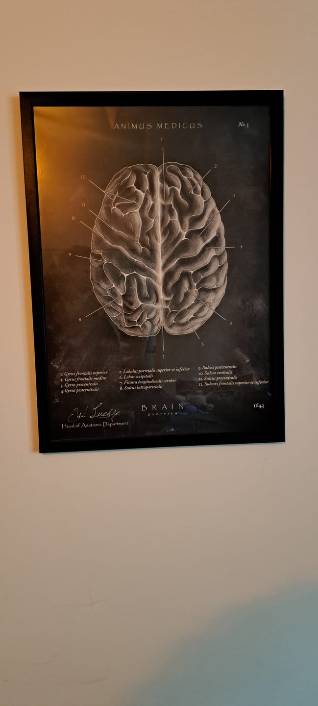 Customer photo review of Das menschliche Gehirn - Chalkboard