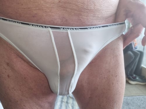 Customer photo review of 2 Pack Men's Low-Rise Sporty Ice-Silk Bikini with Mesh Front and U-Contour Pouch