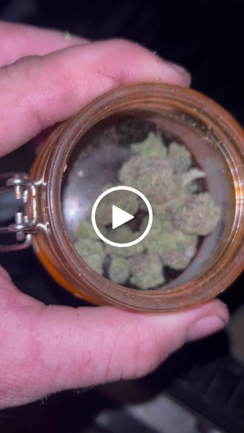 Customer video review of Purple Push Pop -THCa Flower