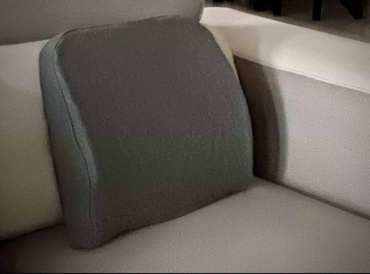 Customer photo review of Getha Guardian Lumbar Support Latex Cushion