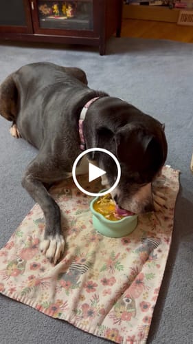 Customer video review of FreezLava Heavy-Duty Enrichment Chew