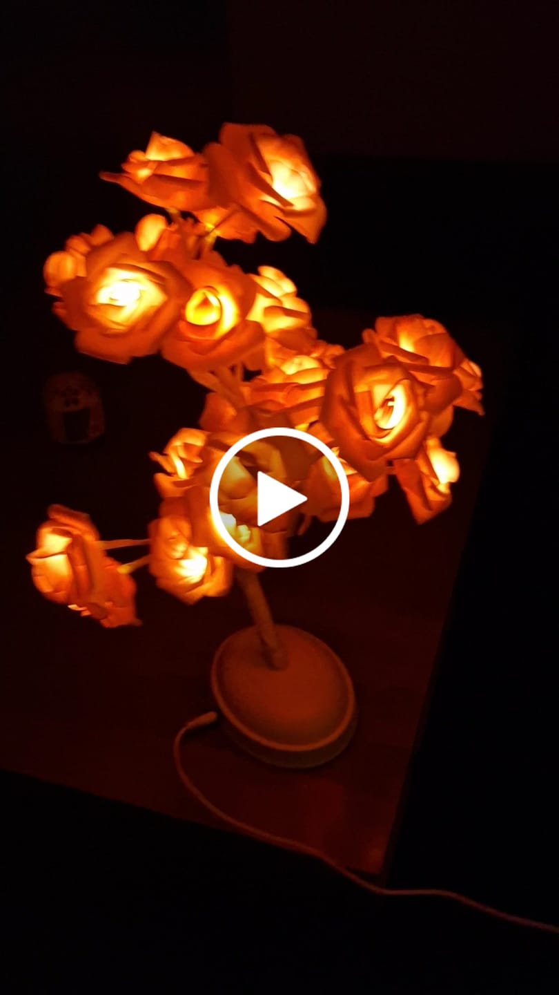 Customer video review of Bäumlein® - mit 32 LED Rosen
