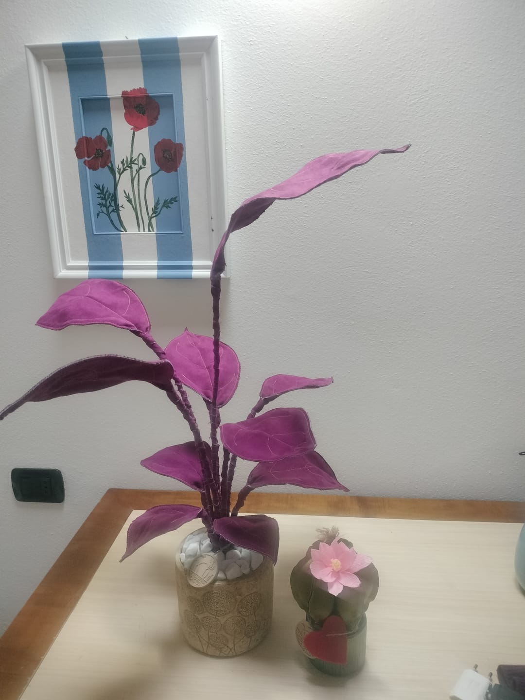 Customer photo review of Philodendron viola di crepuscolo