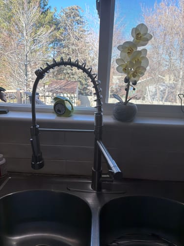 Customer photo review of Single-Handle High Arc Kitchen Faucet with Deck Plate Nickel
