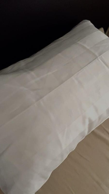Customer photo review of Getha Travel Pillow - Small