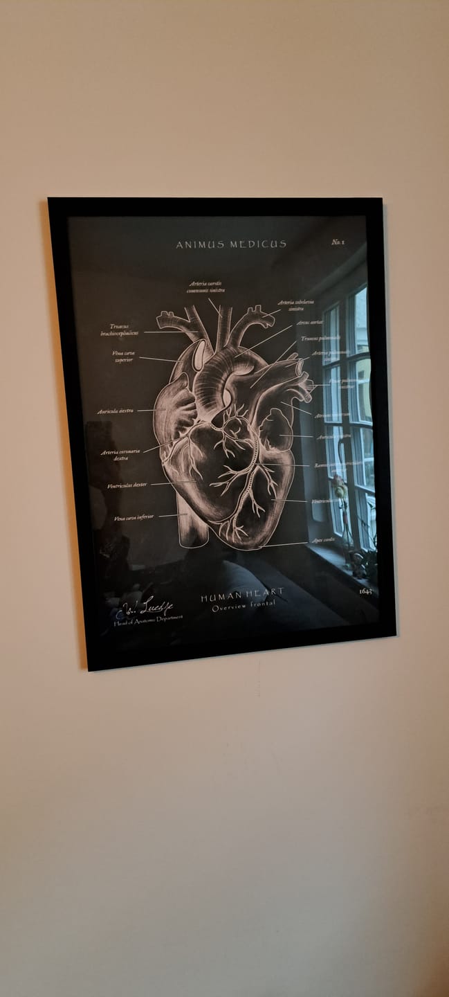 Customer photo review of Herz Anatomie - Chalkboard