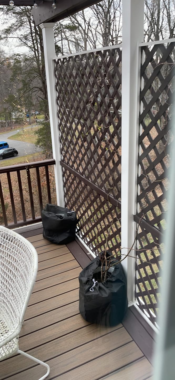 Customer photo review of Thermal Plant Pot Cover 20" – Winter Root Freeze Protection