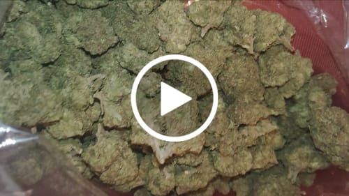 Customer video review of Lemon Cherry Biscotti - Bulk - Hybrid