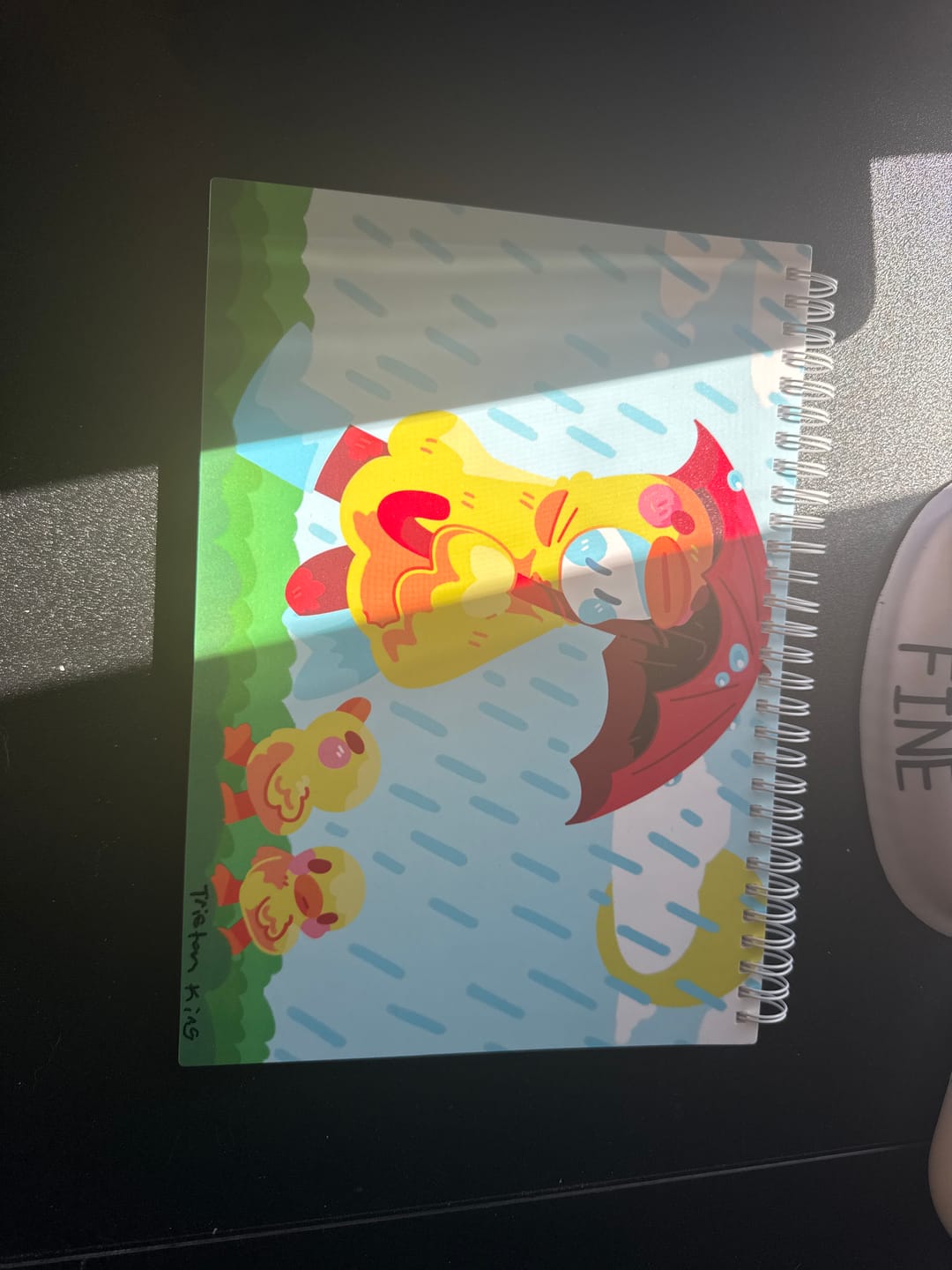 Customer photo review of Rainy Day Duck Ghost Large Reusable Sticker Book