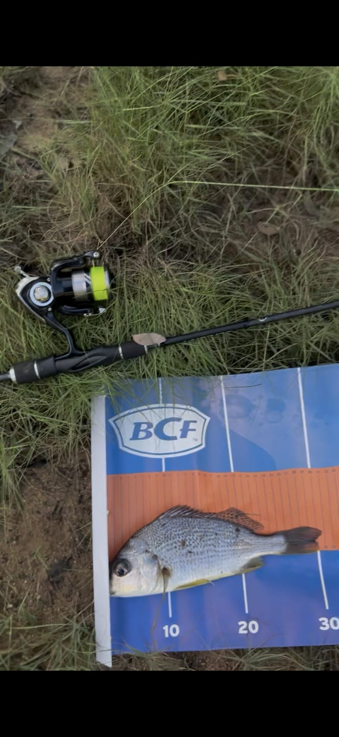 Customer photo review of GUPPIE SHAD