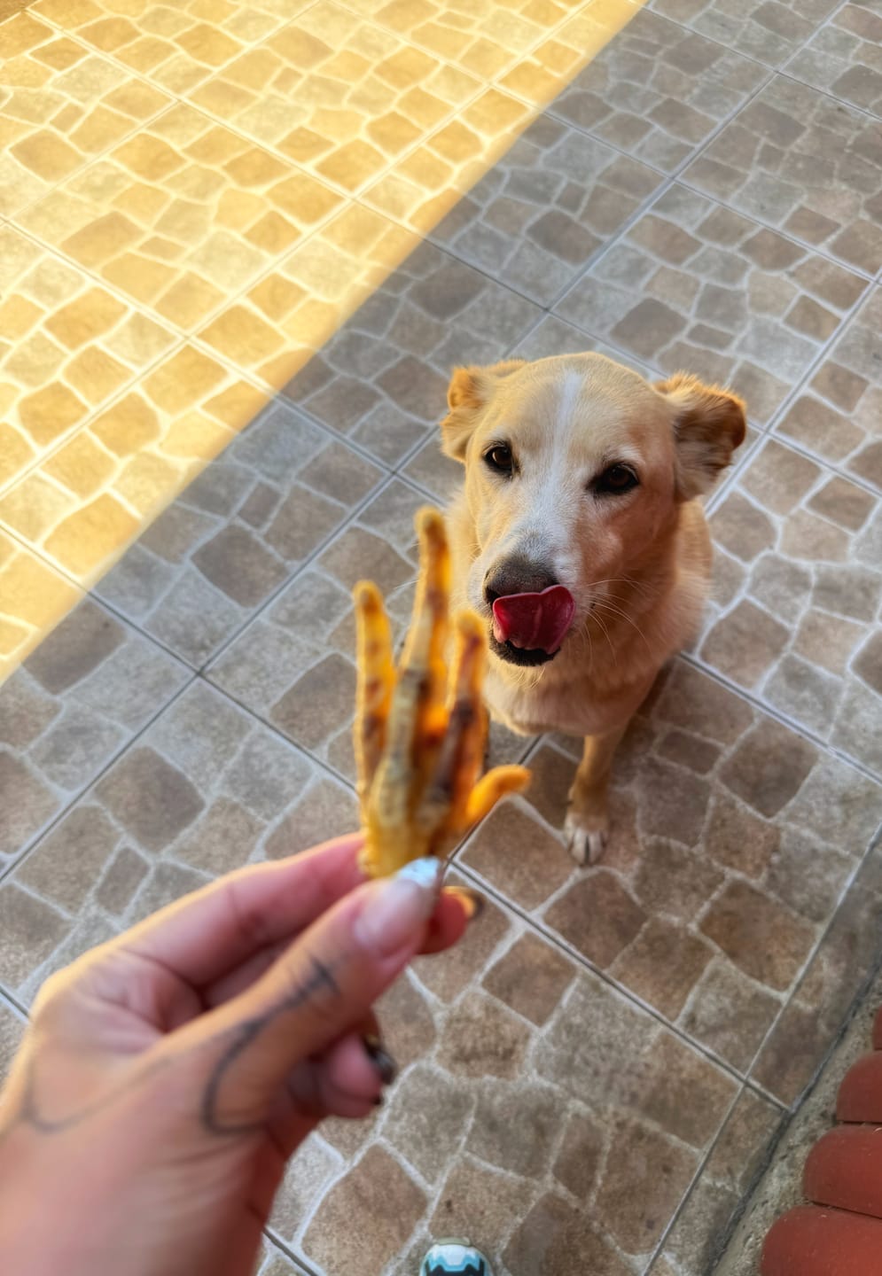 Customer photo review of Patas de pollo