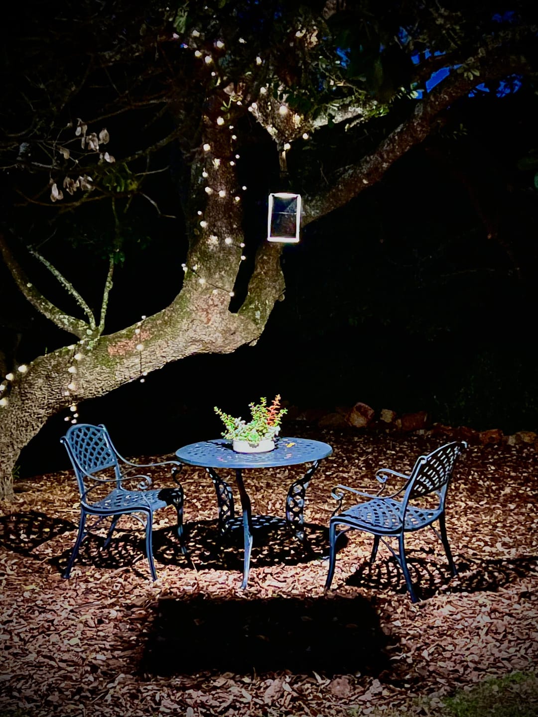 Customer photo review of Black String Solar Fairy Lights
