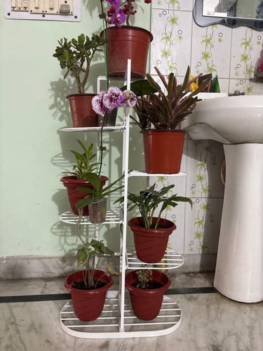 Customer photo review of UnitedCrafts MILO 6 Tier Metal Plant Stand -7 Potted Multiple Shelves