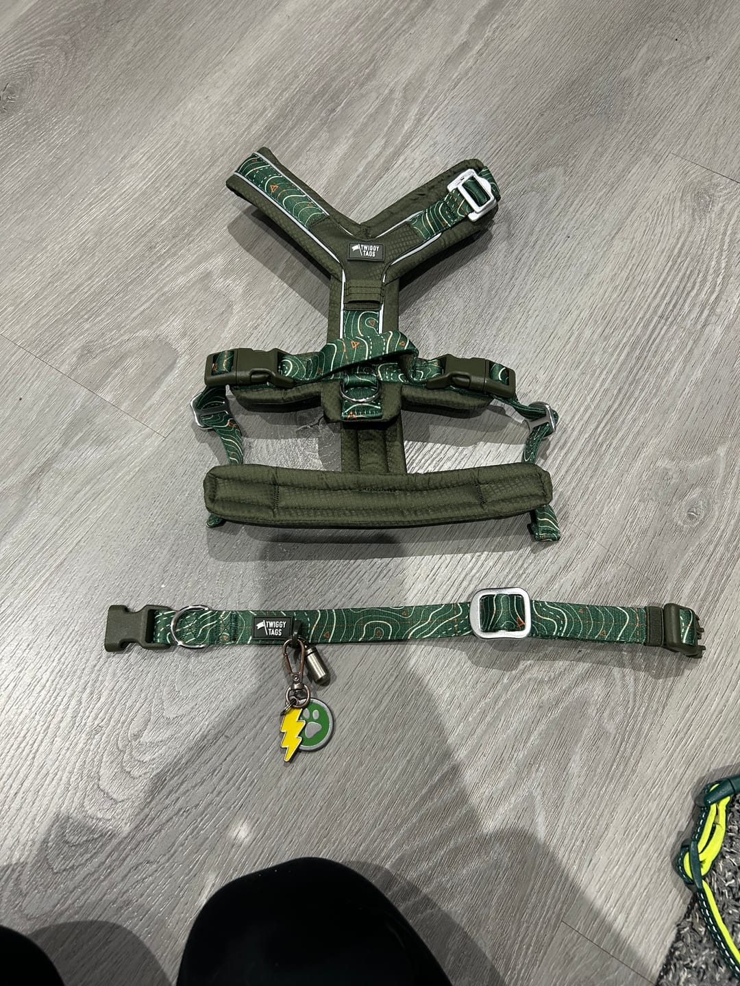 Customer photo review of Apex® Collar