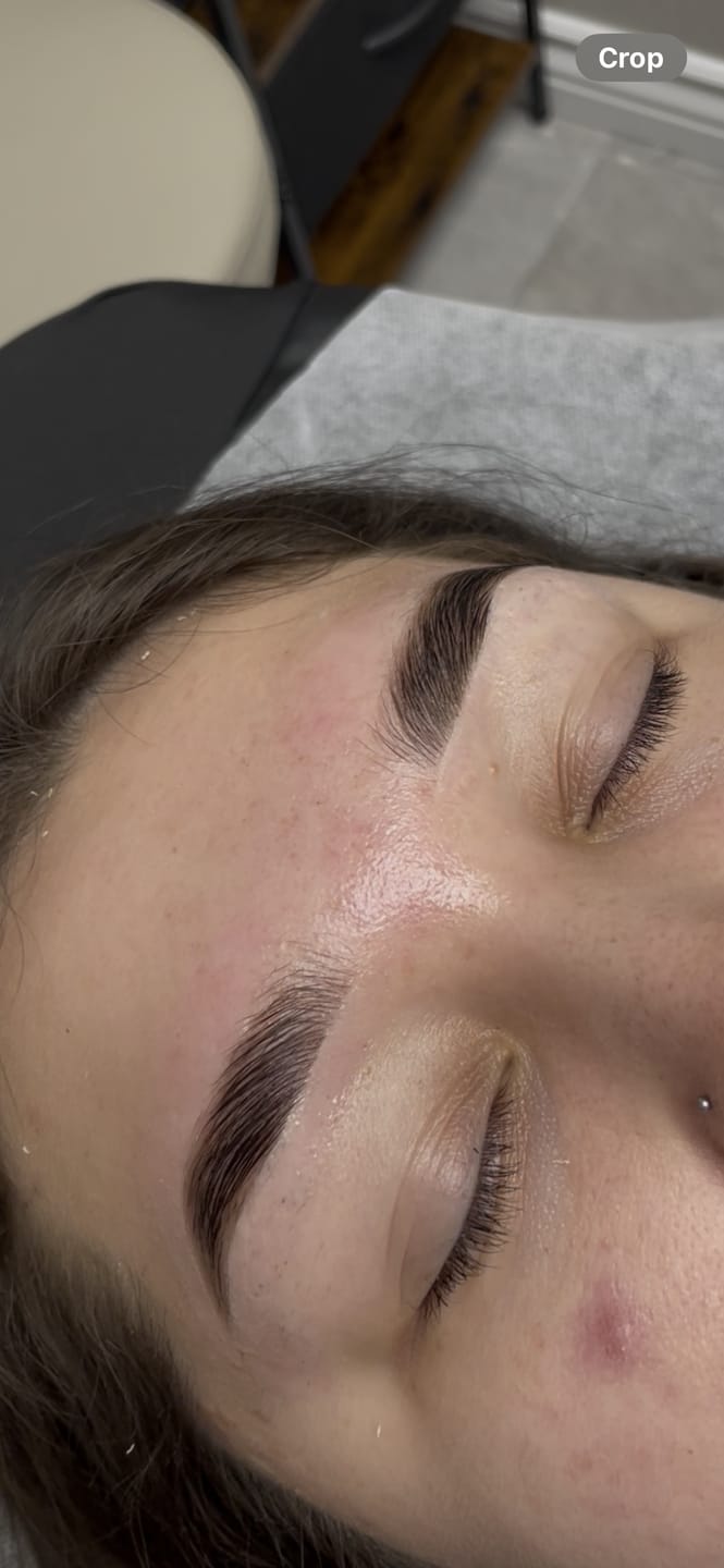 Customer photo review of Crystal Clear Collection Premium Eyebrow Tints