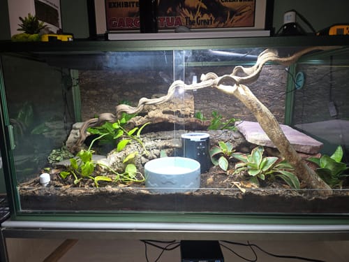 Customer photo review of 120 Gallon Bearded Dragon Enclosure 4x2x2