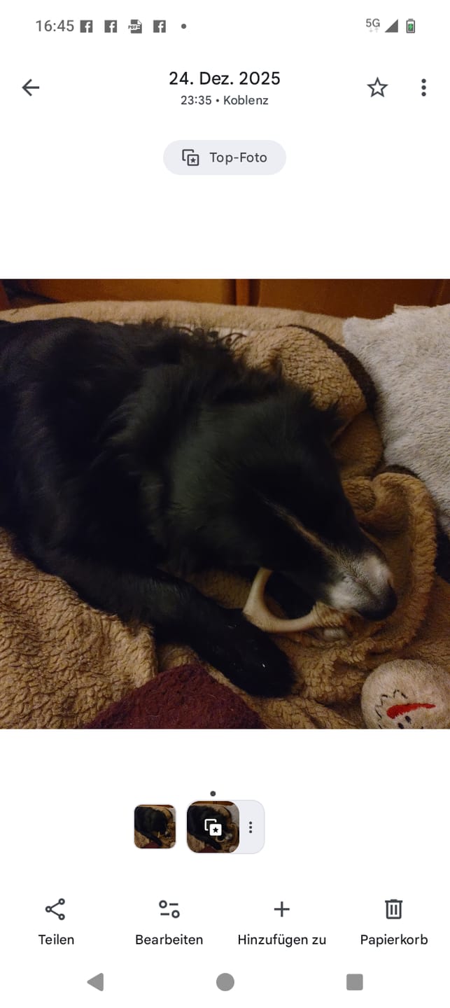 Customer photo review of BetterBone Hundeknochen – Nachhaltig, Zahnfreundlich & Langlebiges Kauspielzeug