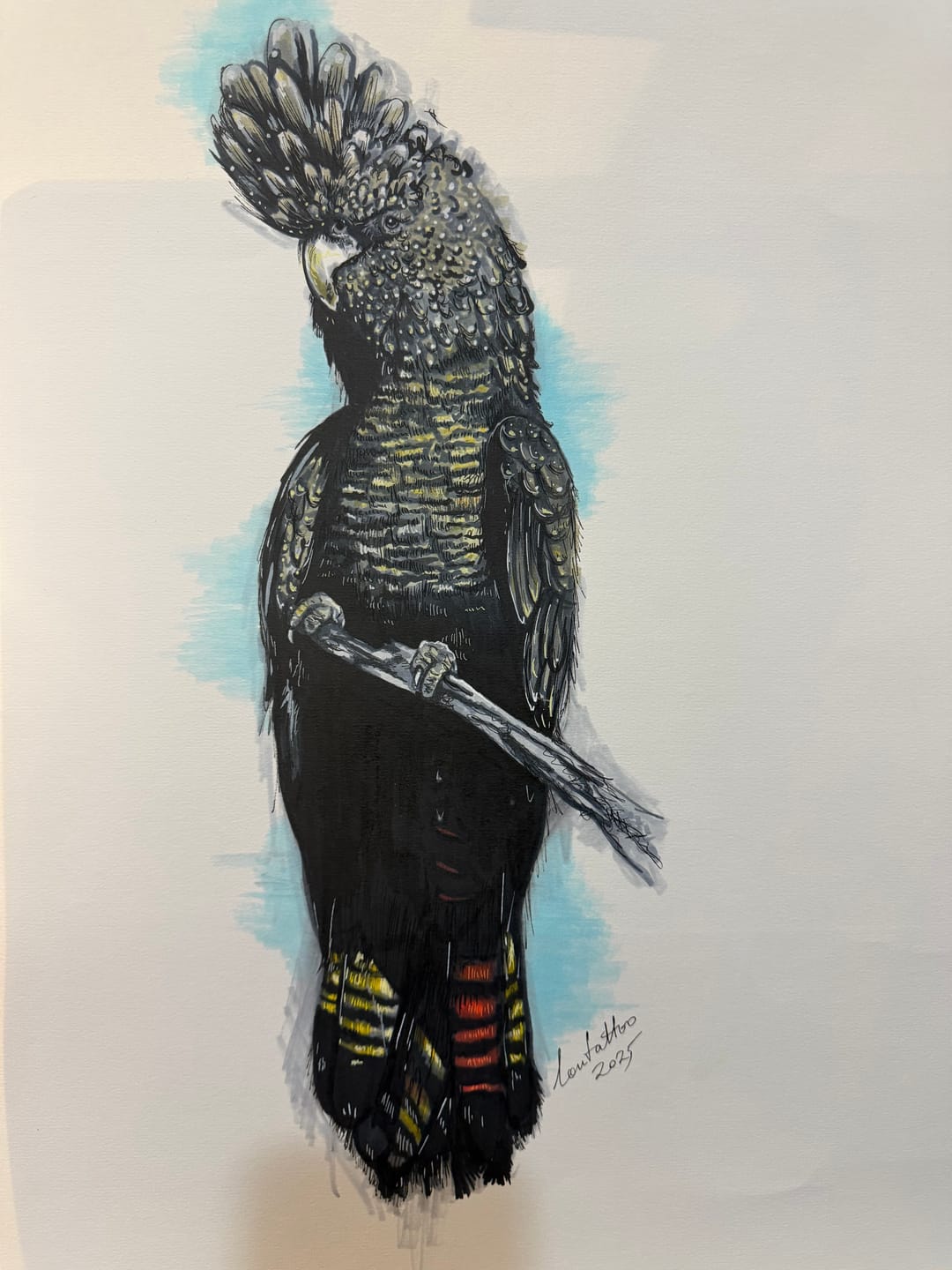 Customer photo review of Ohuhu Dual Nib Waterproof Acrylic Pen 30 / 60 / 90 Colors - Kakaako