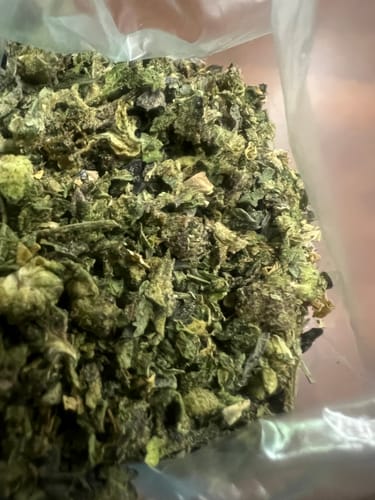 Customer photo review of Exotic Shake