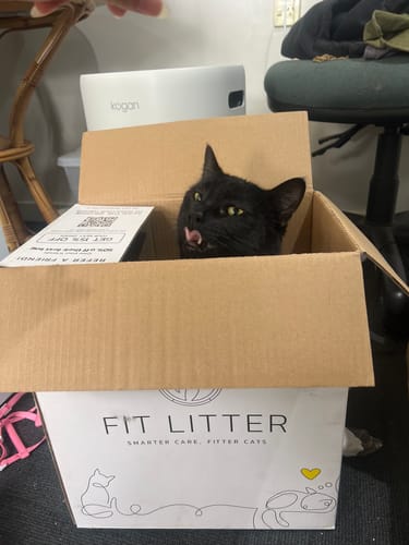 Customer photo review of Fit Litter