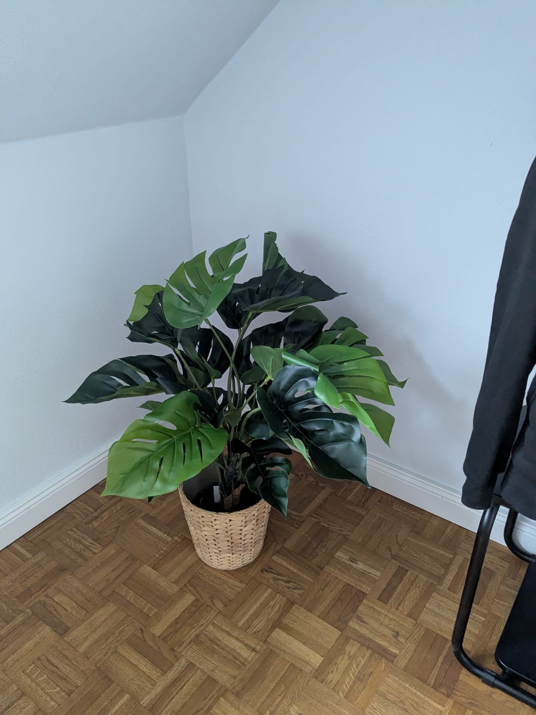 Customer photo review of Monstera Kunstpflanze 65cm