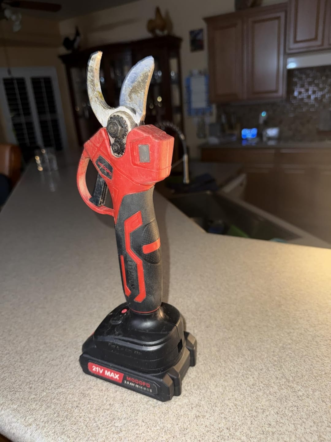 Customer photo review of Cordless Electric Pruning Shears – 1.2" Cutting Capacity (2 Batteries)