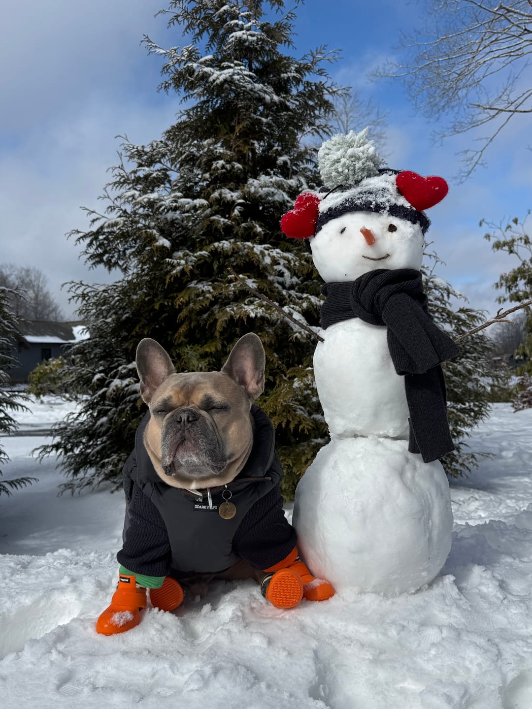 Customer photo review of PuffShield Winter Jacket - Black