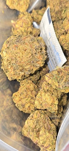 Customer photo review of Blueberry