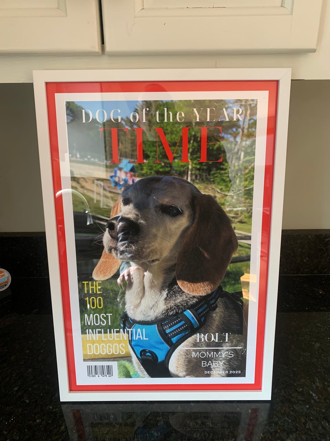 Customer photo review of Pet Portrait Magazine Cover