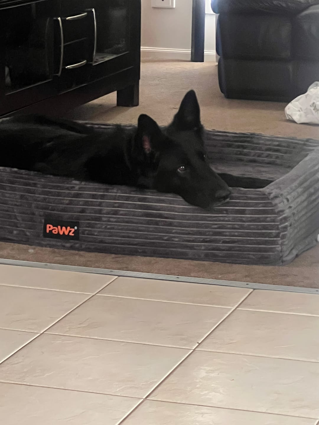 Customer photo review of Orthopaedic Dog Bed – Waterproof & Washable