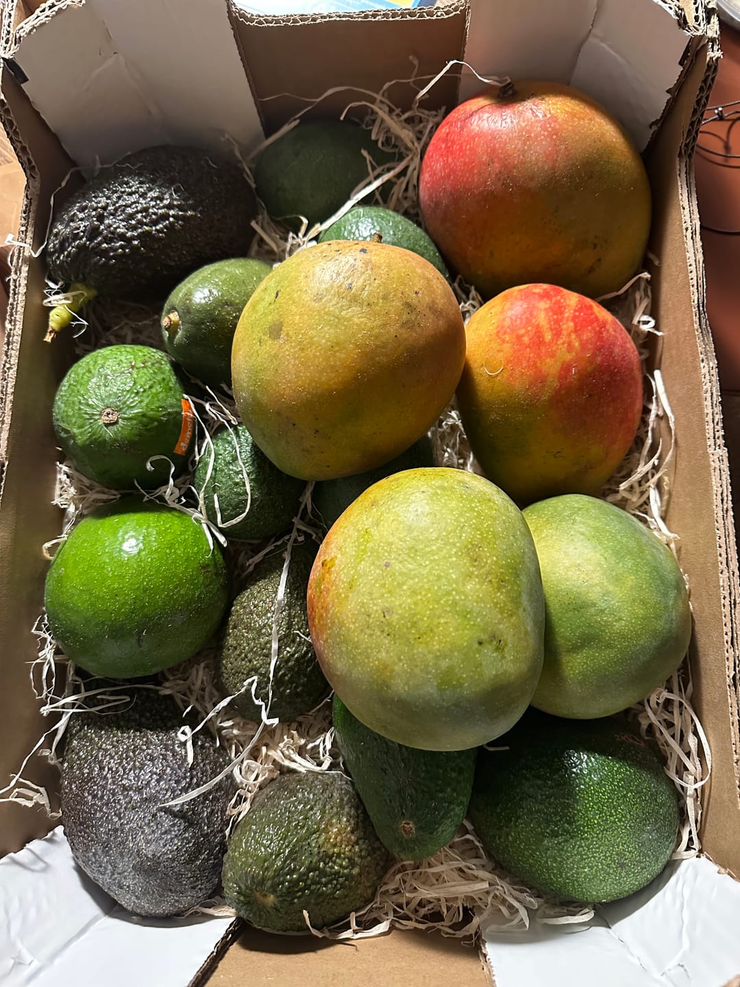 Customer photo review of Mango-Avocado Bio Box Aktionspreis % 4kg