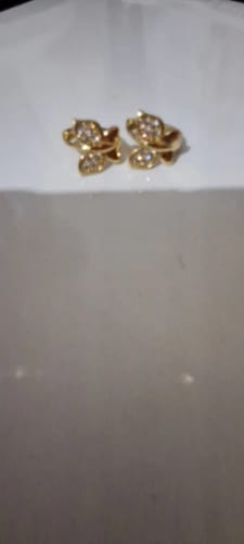 Customer photo review of Butterfly Earrings For Women Girls Modern Gold Color Stainless Steel Earrings 2026 Trend New in Wedding Aesthetic Jewelry Femme