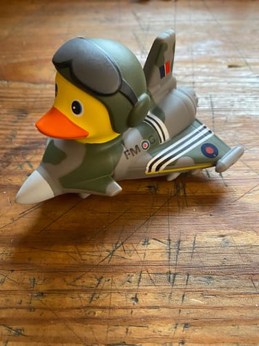 Customer photo review of RAF Association Duck - Typhoon