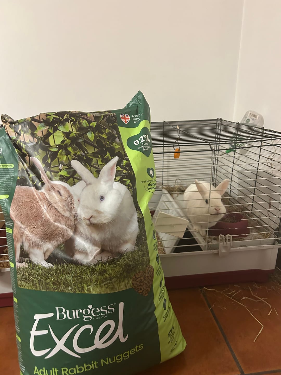 Customer photo review of Burgess Excel Adult Rabbit Nuggets With Mint (Mais opções disponiveis)