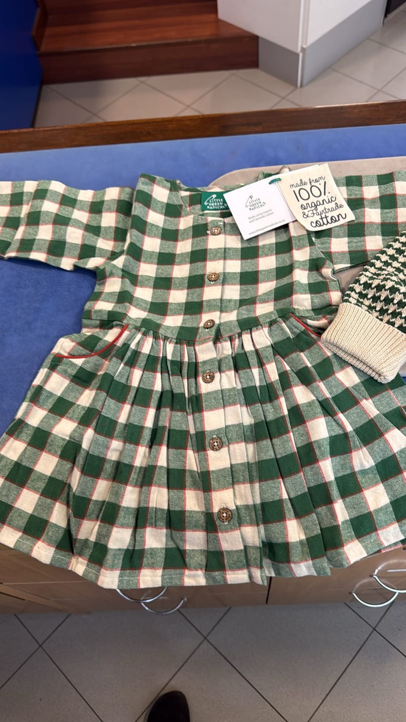 Customer photo review of Fern Green Check Comfy Pocket Dress