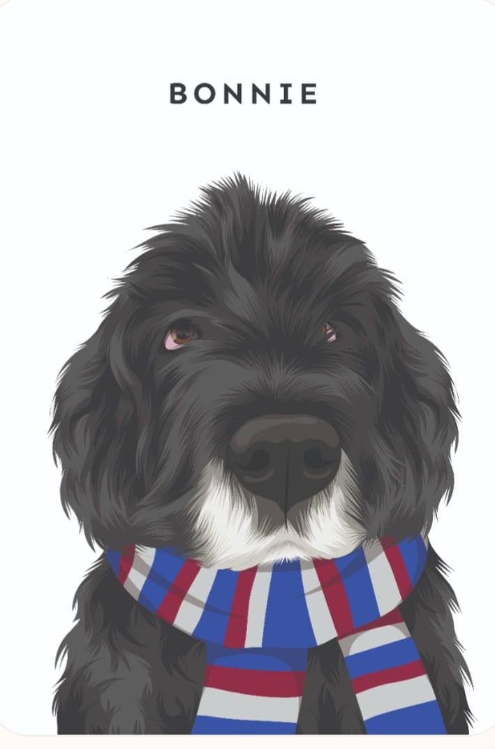 Customer photo review of Custom Pet Portrait - Footy Fan