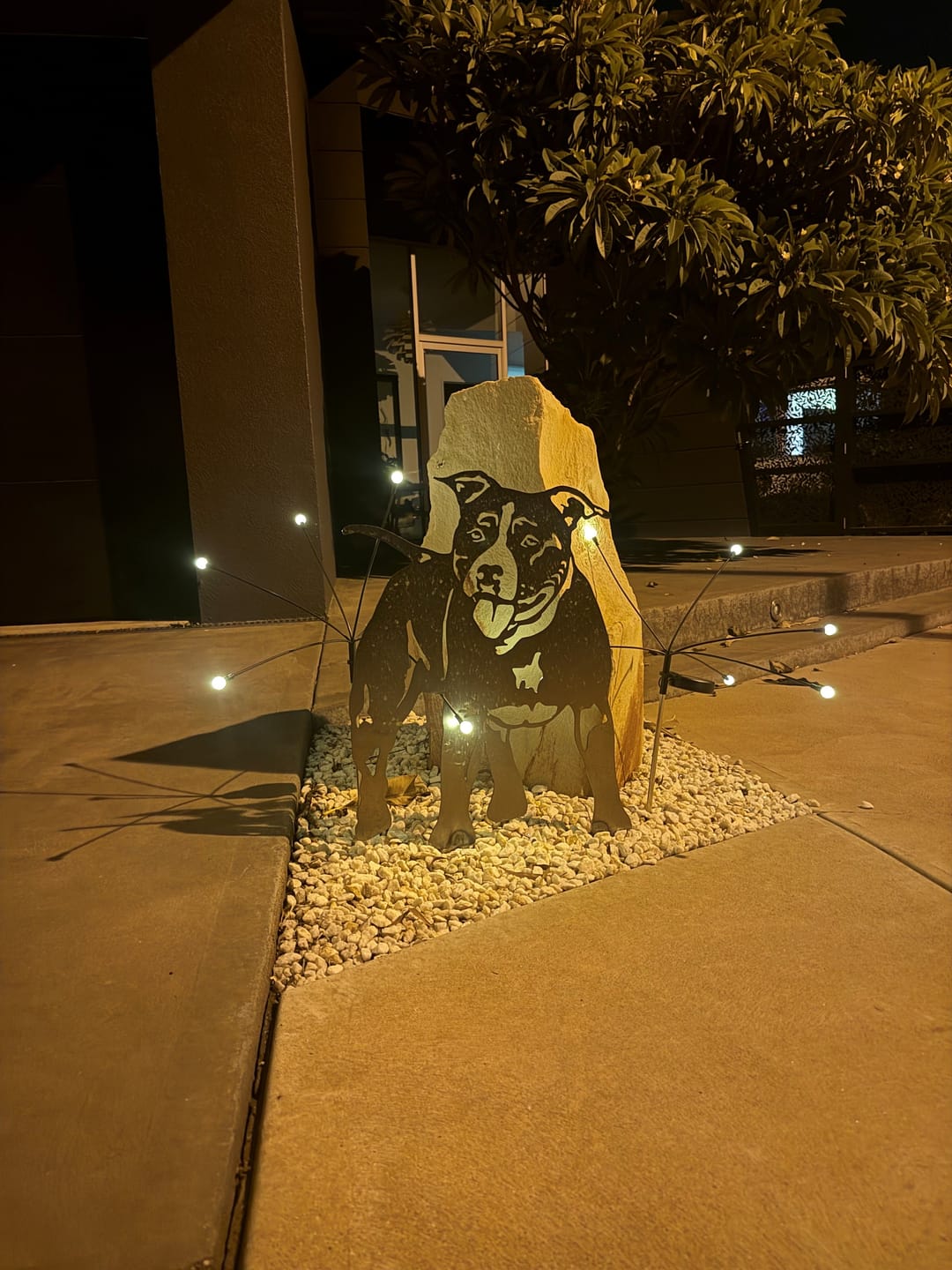 Customer photo review of GardenBrite™ Solar Firefly Lights