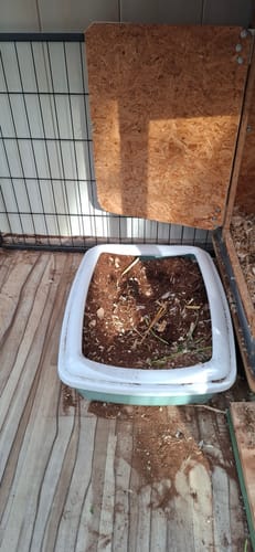 Ein Kunde verwendet die Kleintiereinstreu in einer Katzentoilette in einem Kaninchengehege, wobei ein Teil der Einstreu verstreut ist.