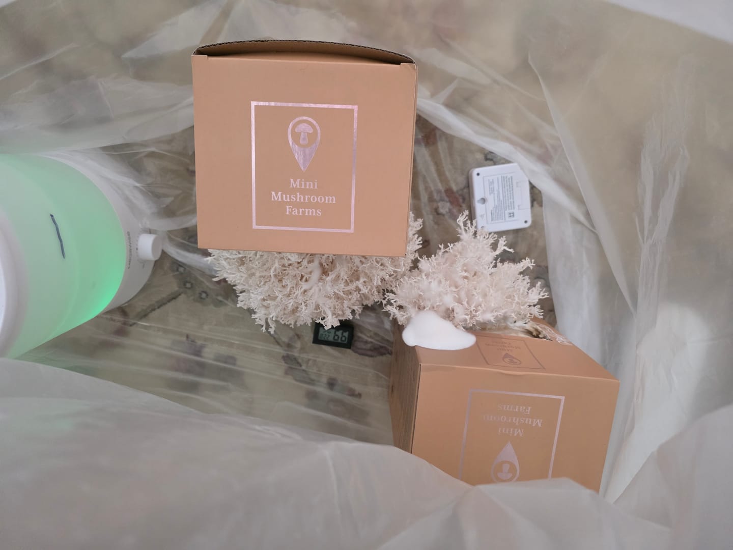 Customer photo review of Essentials Bundle Gift Set +2 Grow Kits