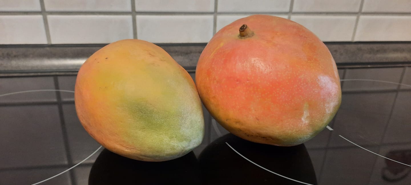 Customer photo review of Mango Kent Bio von Joe Roman baumgereifte Flugware