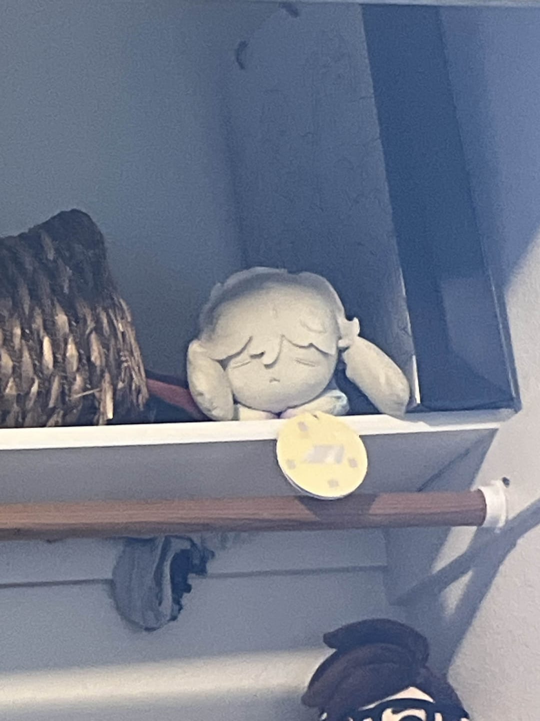 Customer photo review of Alien Stage Rabbit Series Plush Doll