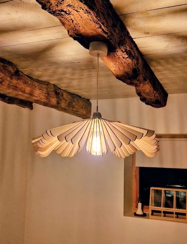 Customer photo review of Rose | Suspension