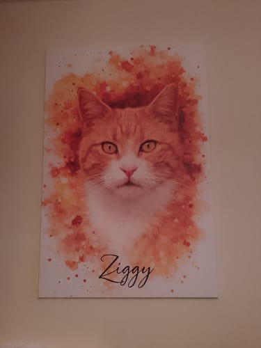 Customer photo review of Your Cat as Watercolor Portrait