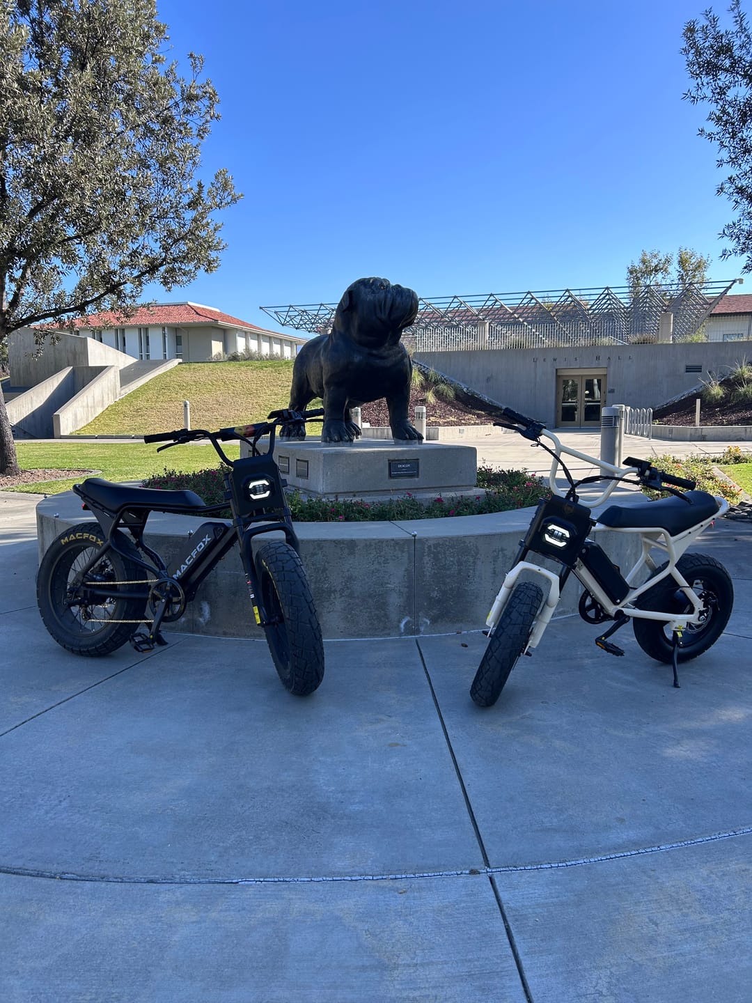 Customer photo review of Macfox E-bike M16