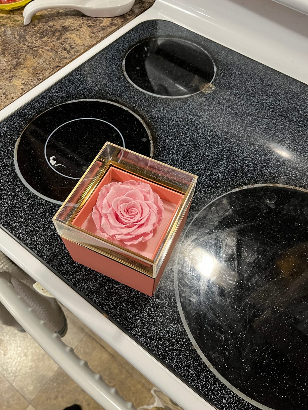 Customer photo review of Rush My Order