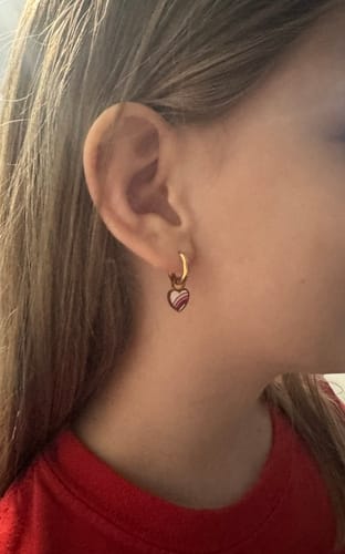 Customer photo review of Rainbow Heart Charms